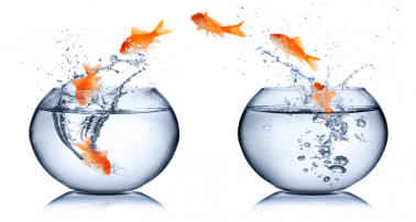 Removals Wolverhampton